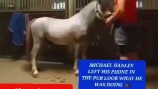 Michael Hanley horsevideo orange shirt mounting!!! Viral video leaked…